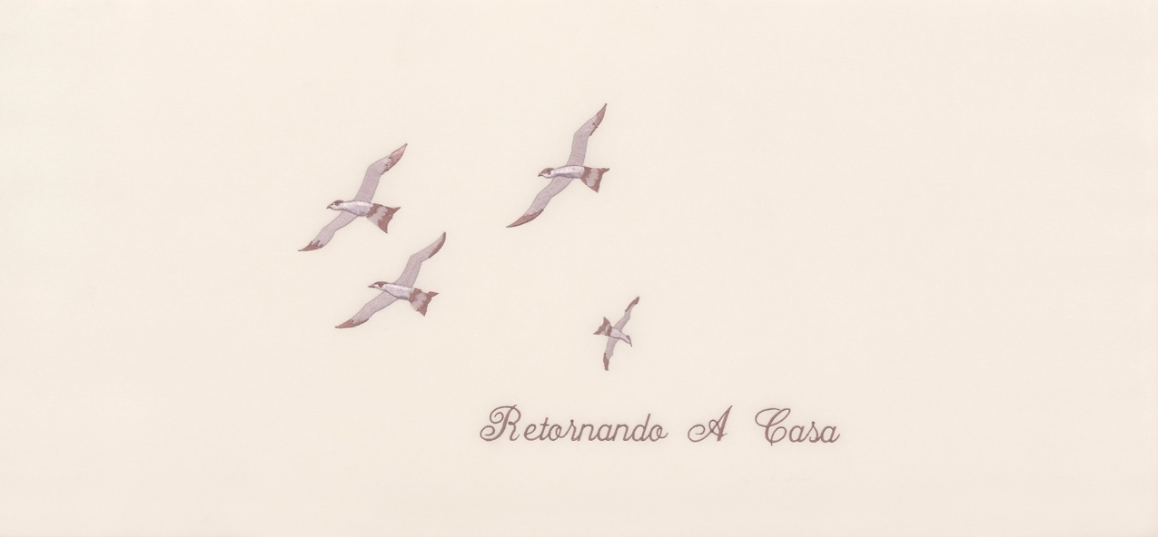 HP-CD0142 Retornando A Casa